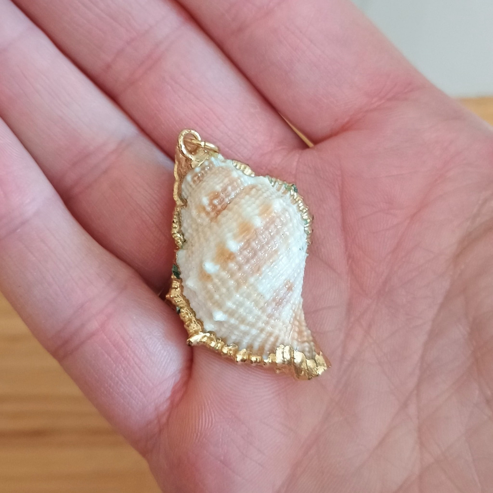 Natural Conch Seashell Pendant Gold Accented Nautical Ocean
